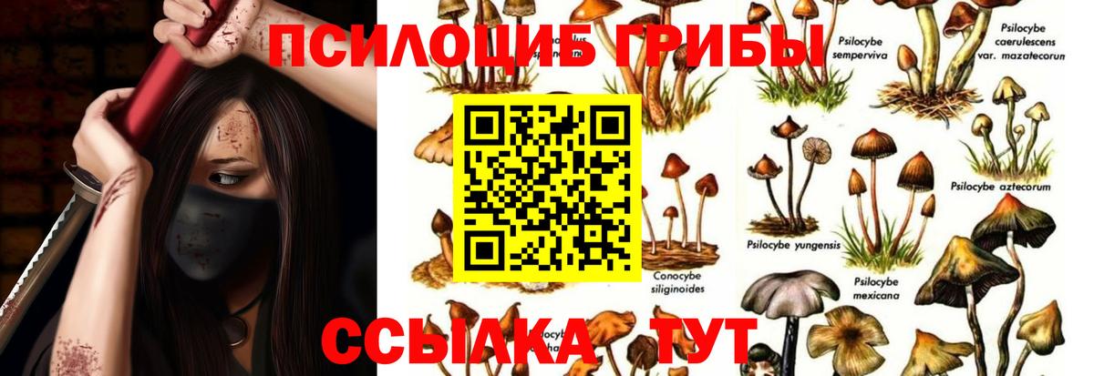 Владивосток  Галлюциногенные грибы Cubensis  Вход с VPN 